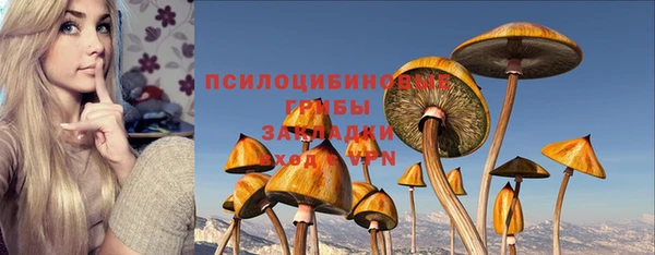 мет Армянск